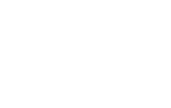 Fiduciary Icon